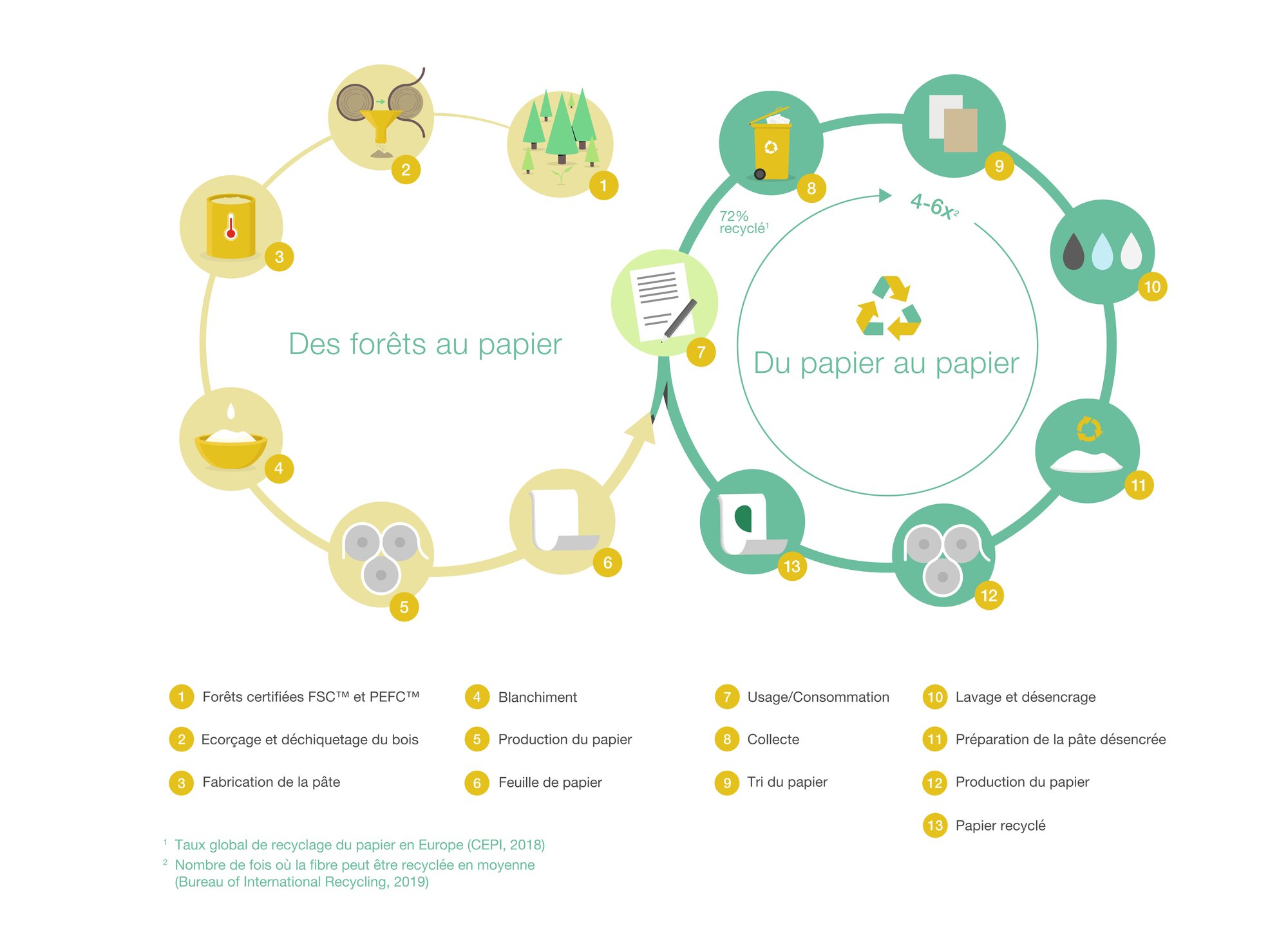 Développement durable chez Mondi - le cycle de durabilité