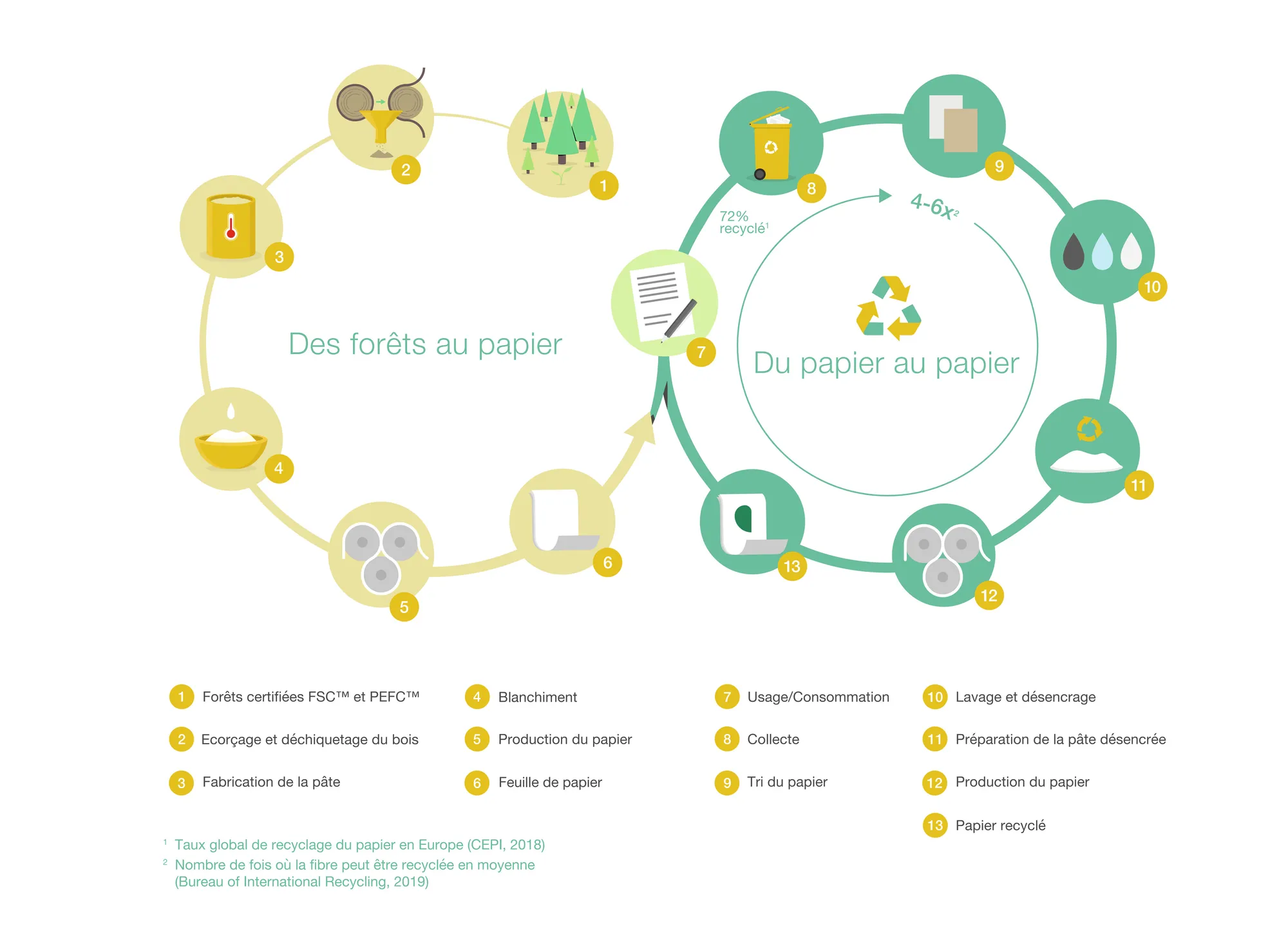 Développement durable chez Mondi - le cycle de durabilité