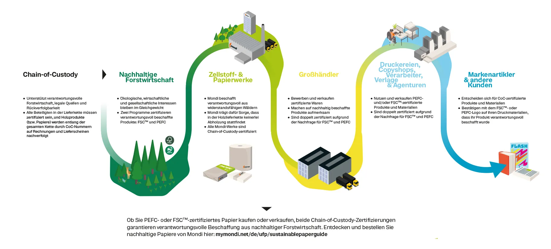 Nachhaltigkeit bei Mondi – Infografik zur Wertschöpfungskette der nachhaltigen Forstwirtschaft