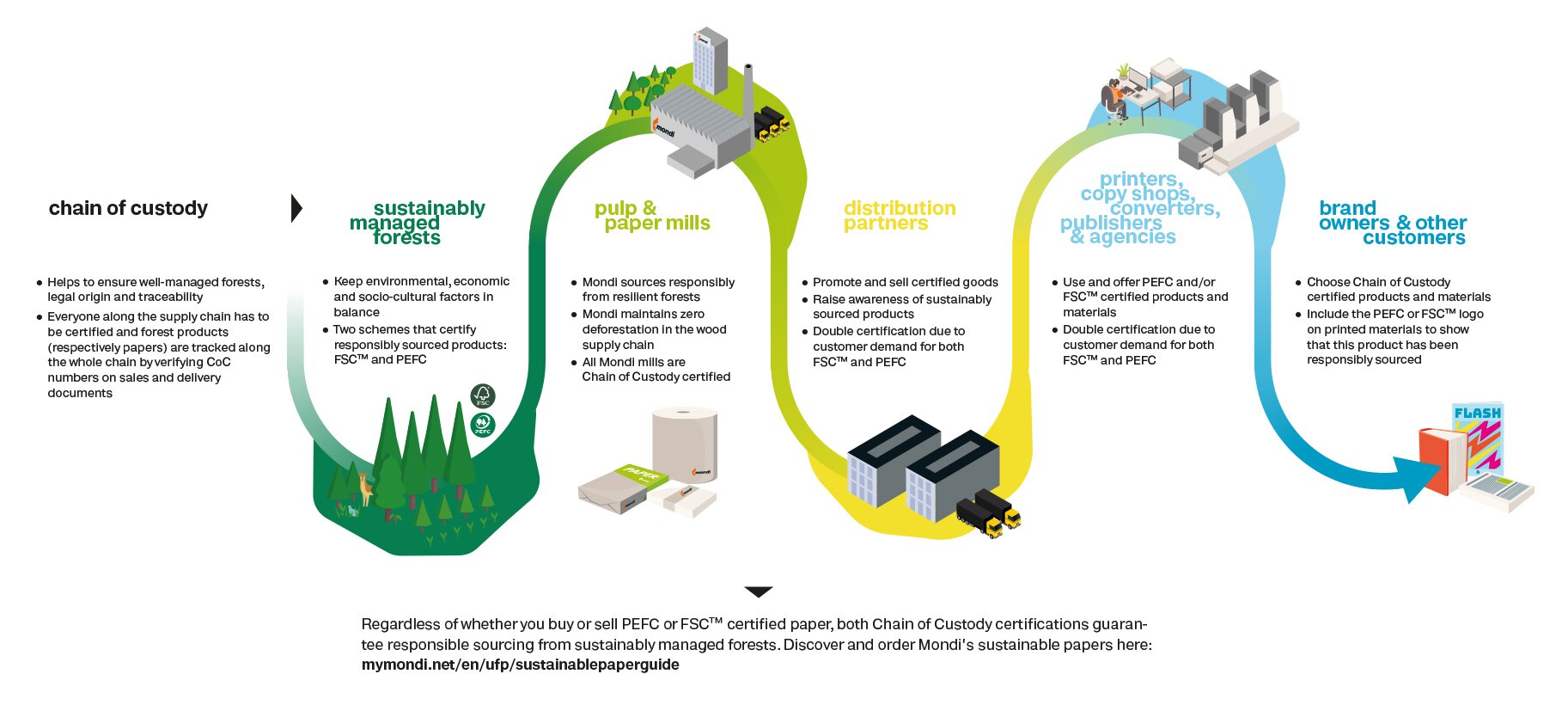 Sustainability at Mondi - sustainable forest management value chain infographic