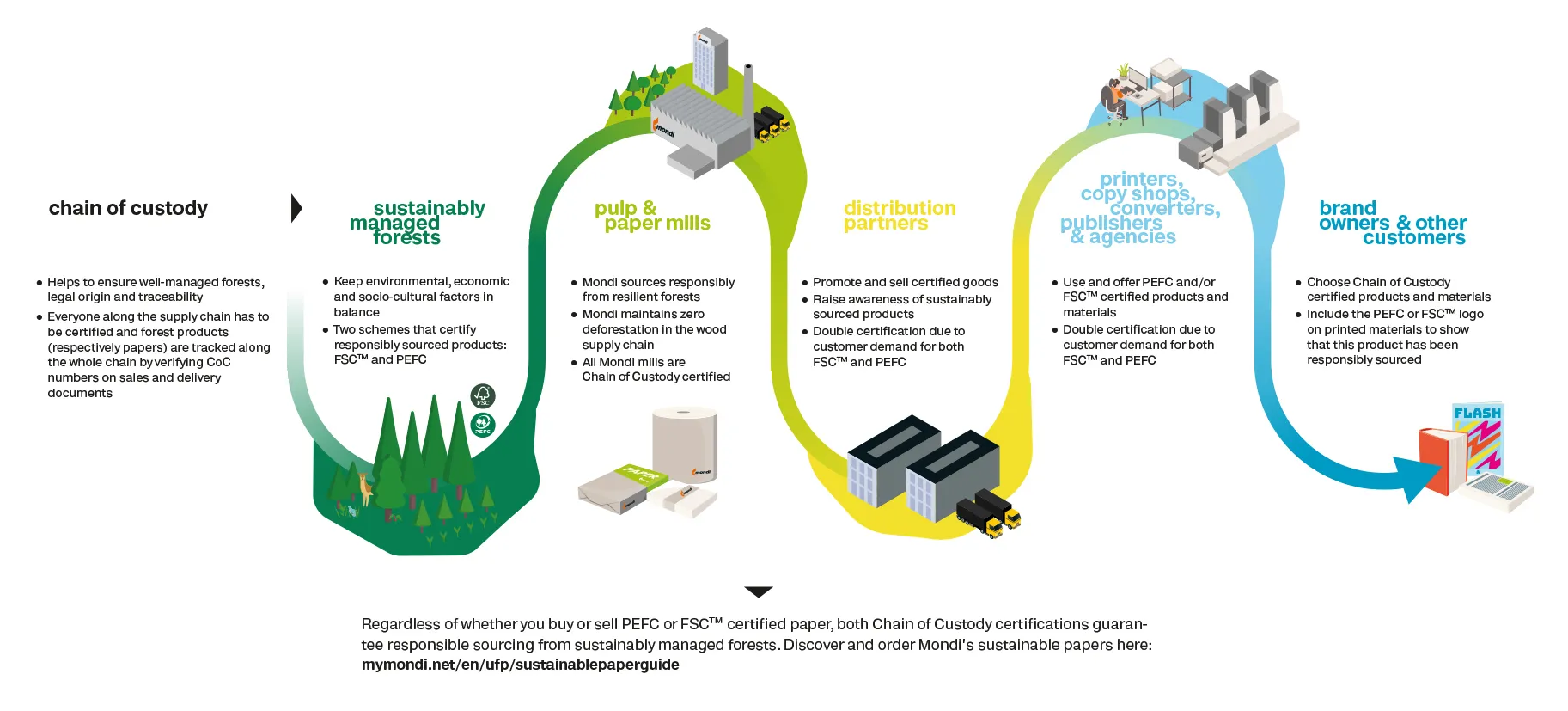 Sustainability at Mondi - sustainable forest management value chain infographic