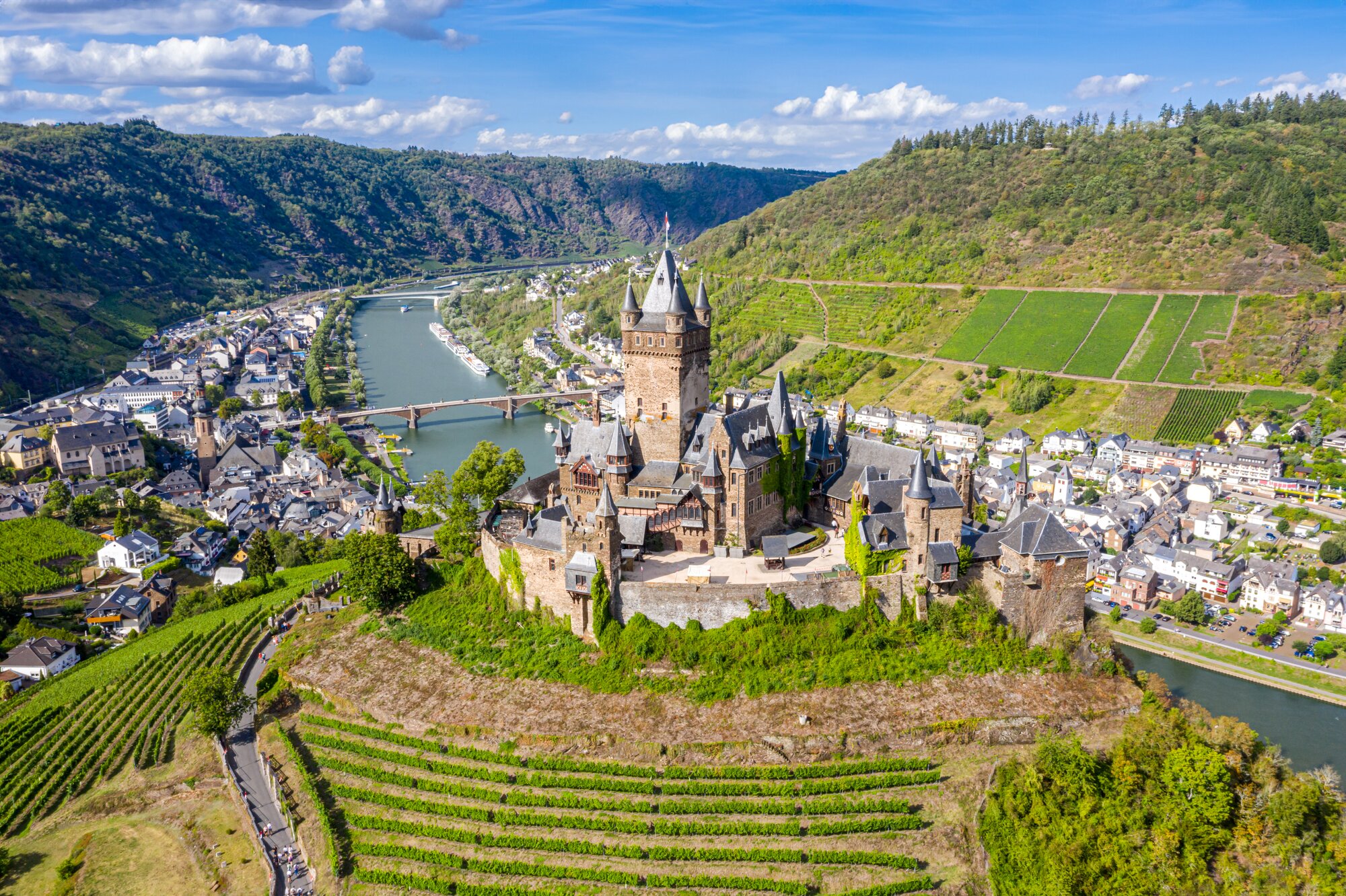 Cochem Castle Tour and Moselle Wine Tasting