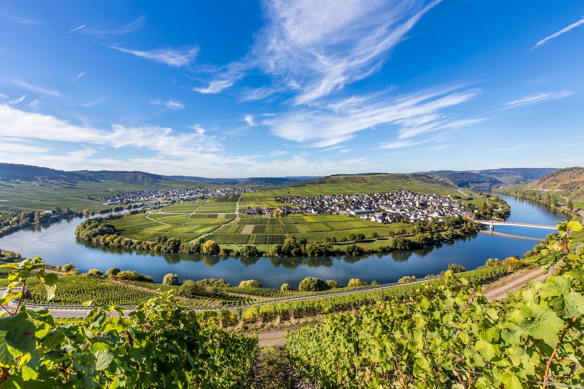 Vineyards of the Rhine and Moselle