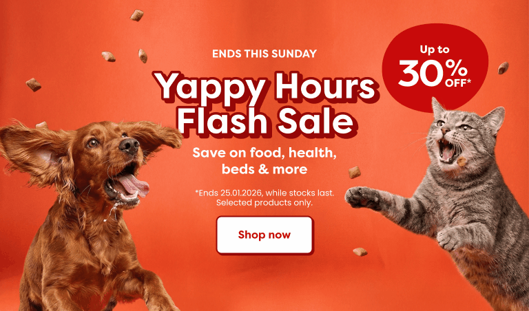 YAPPY HOURS FLASH SALE 