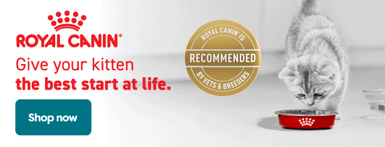 Royal Canin Kitten