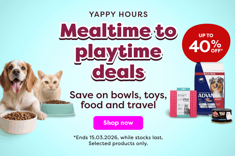  Yappy Hours Deals