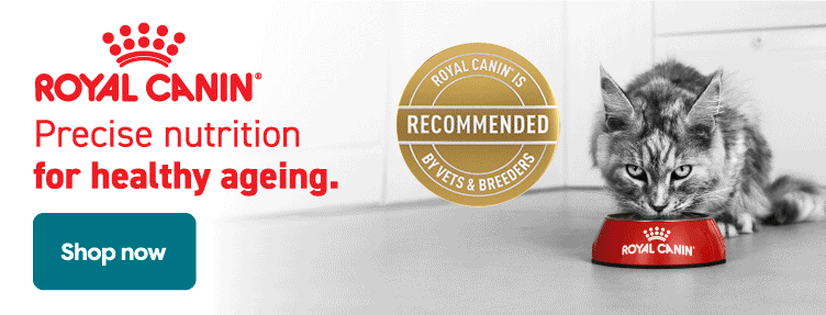Royal Canin cat senior