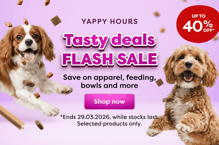  YAPPY HOURS | UP TO 40%*