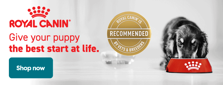 Royal Canin Puppy
