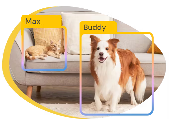 Furbo AI labeling a cat and dog on a couch to recognize and track their behavior.