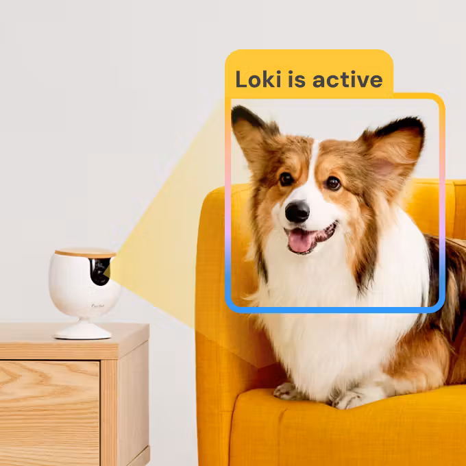 always getting smarter