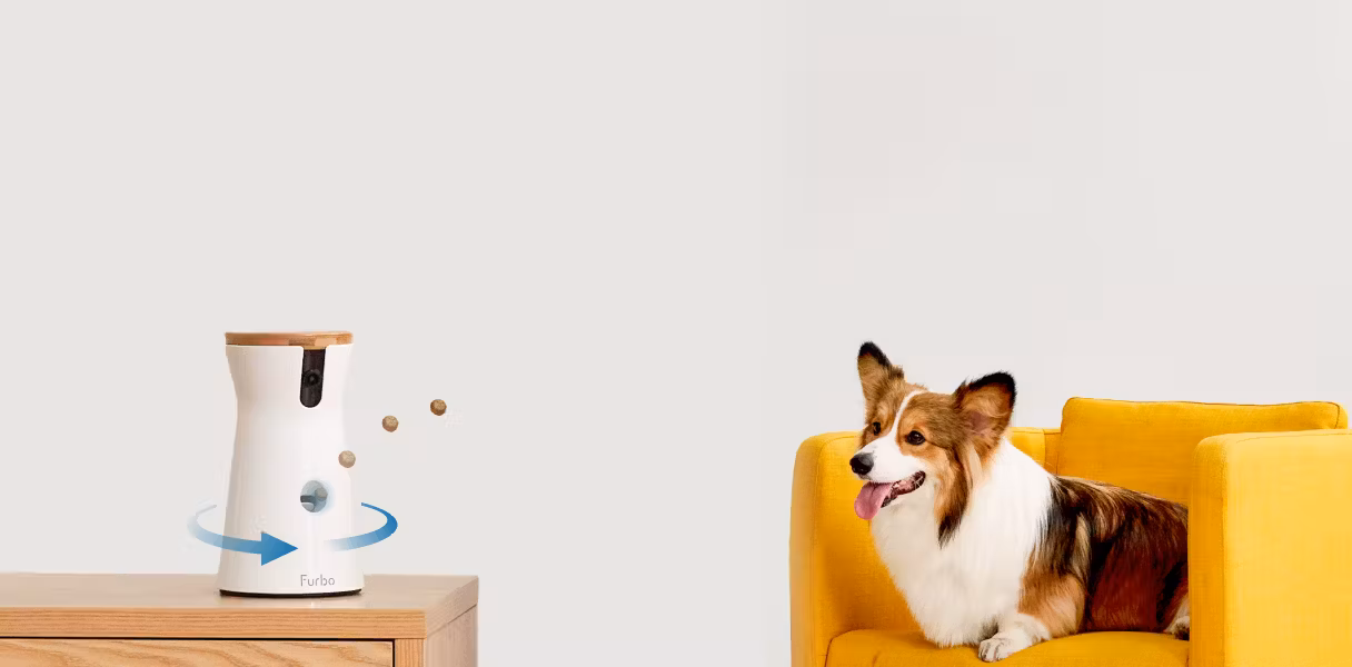 Furbo 360 dog camera with a dog on the couch