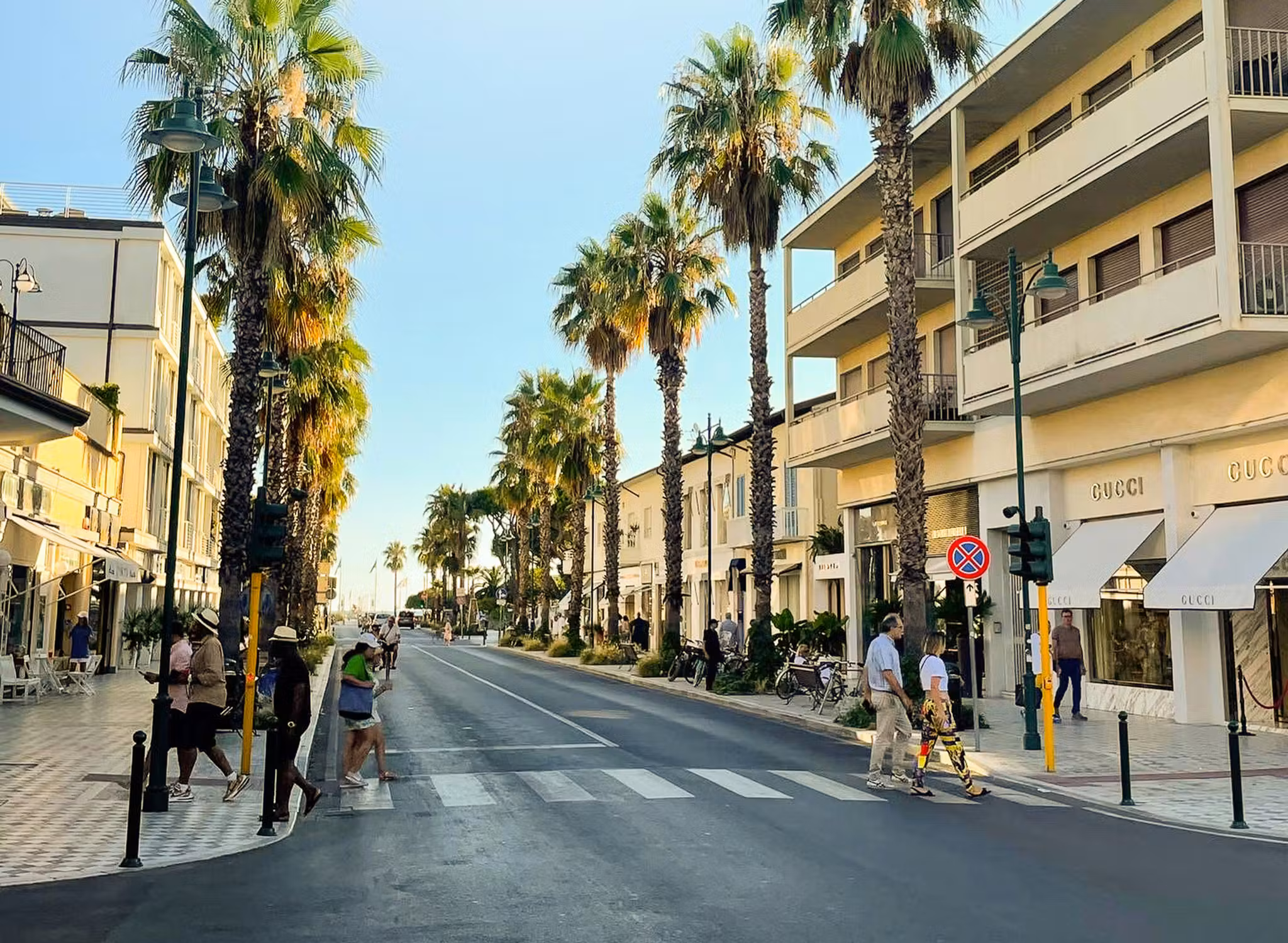 Designer Shopping Circuit