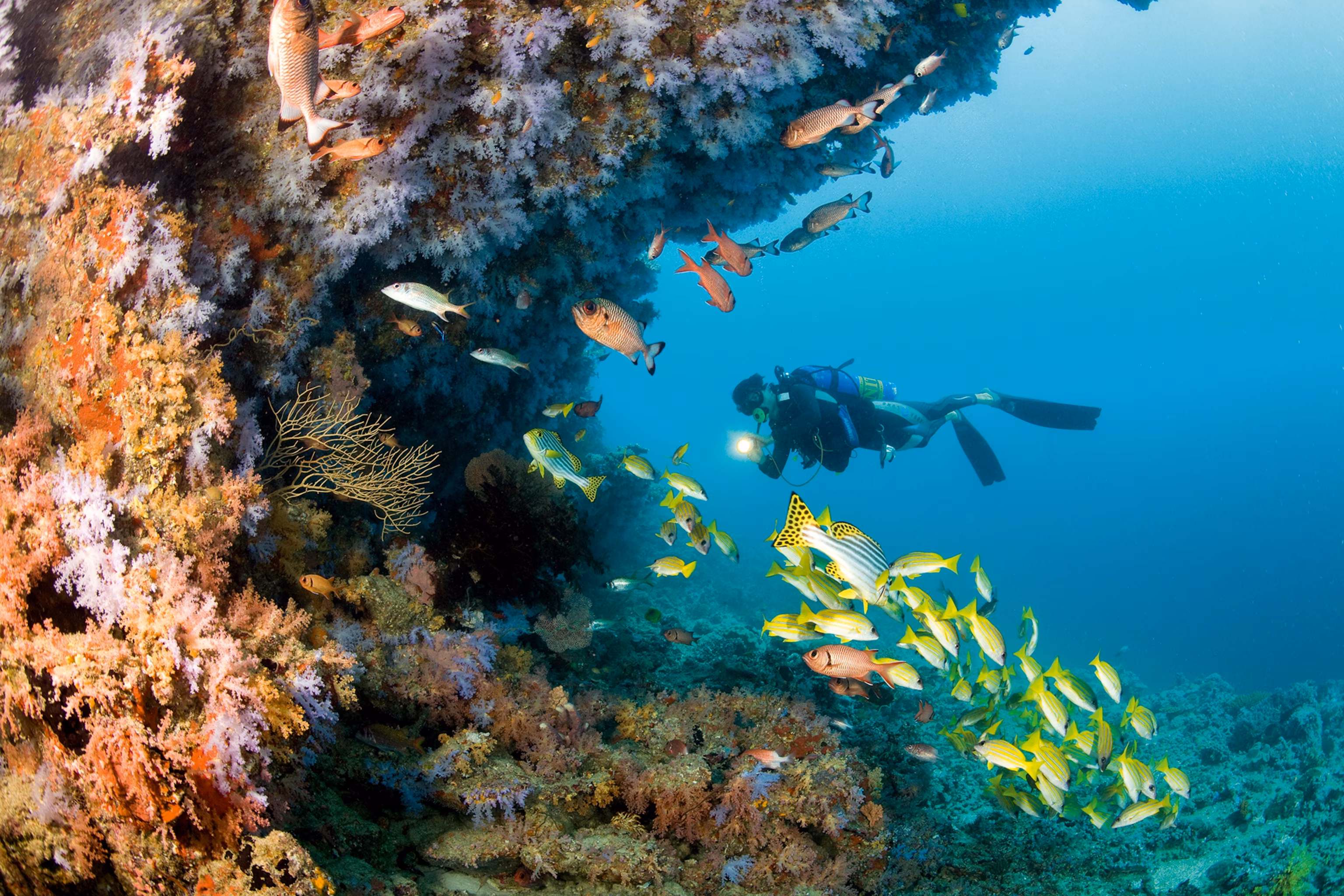 Dhangethi & Kudarah Thila