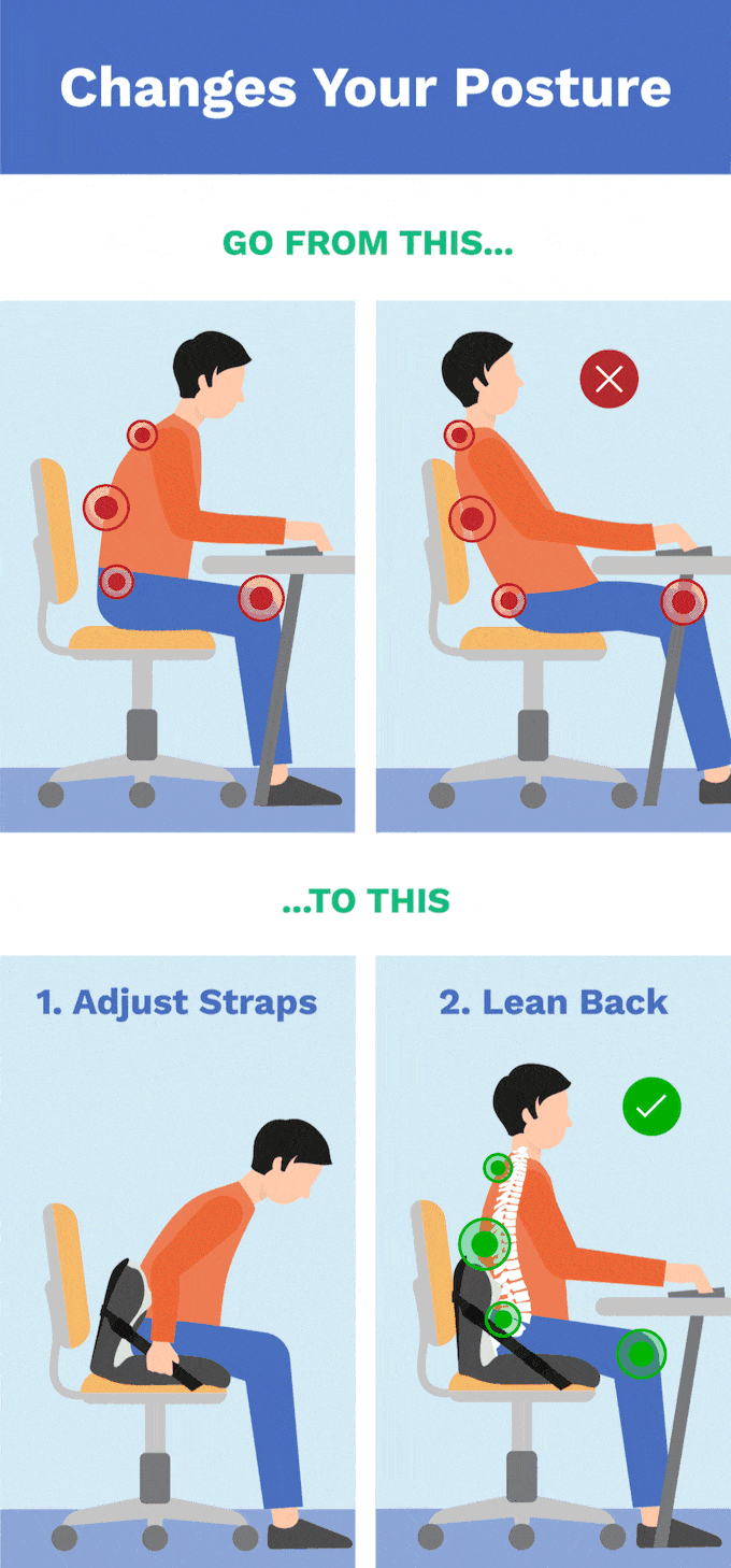 Lifted Lumbar A DoctorDeveloped Seat Cushion for Better Posture