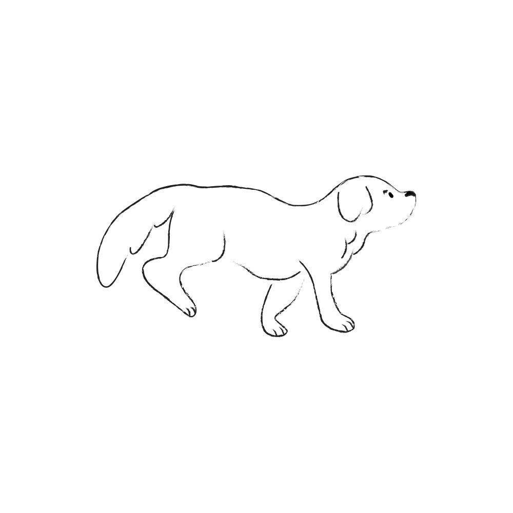 Wagmo Insurance Updates