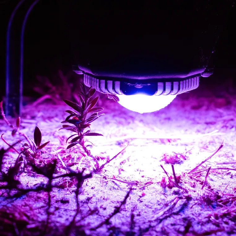 Drone illuminating with purple LEDs