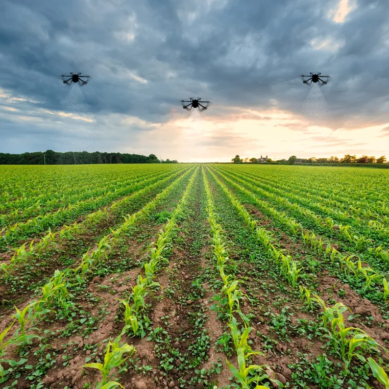 Drones over a field