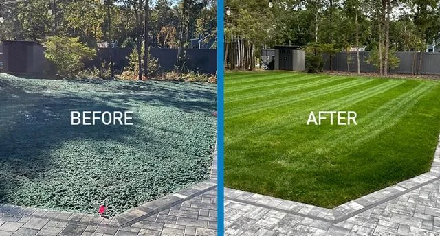 Hydroseeding