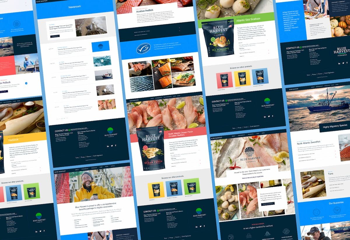 Thumbnail images of the Blue Harvest Website in a grid