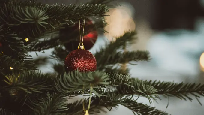 When the Christmas Tree Tips Early