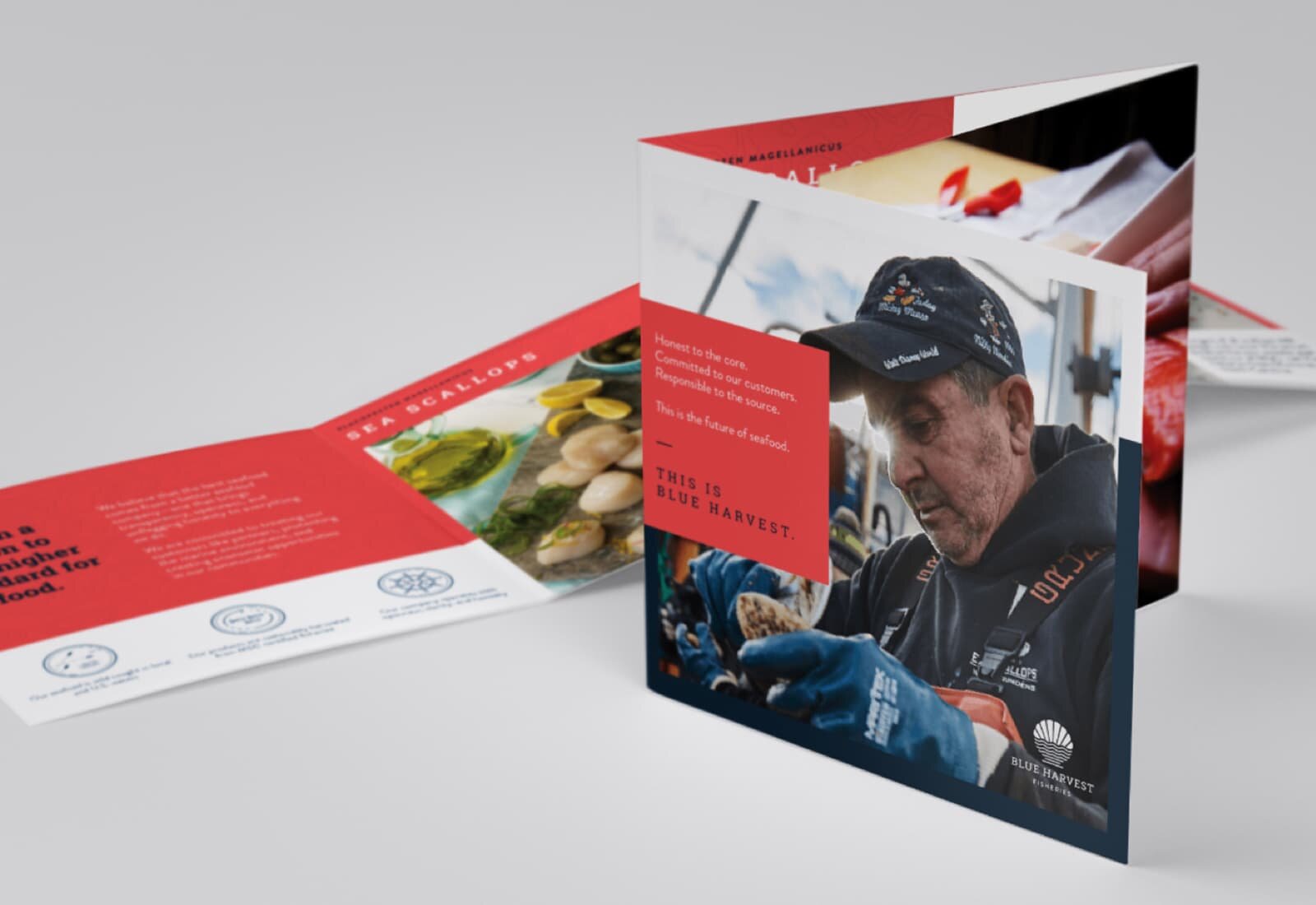 Blue Harvest Fisheries brochure in folded and unfolded states