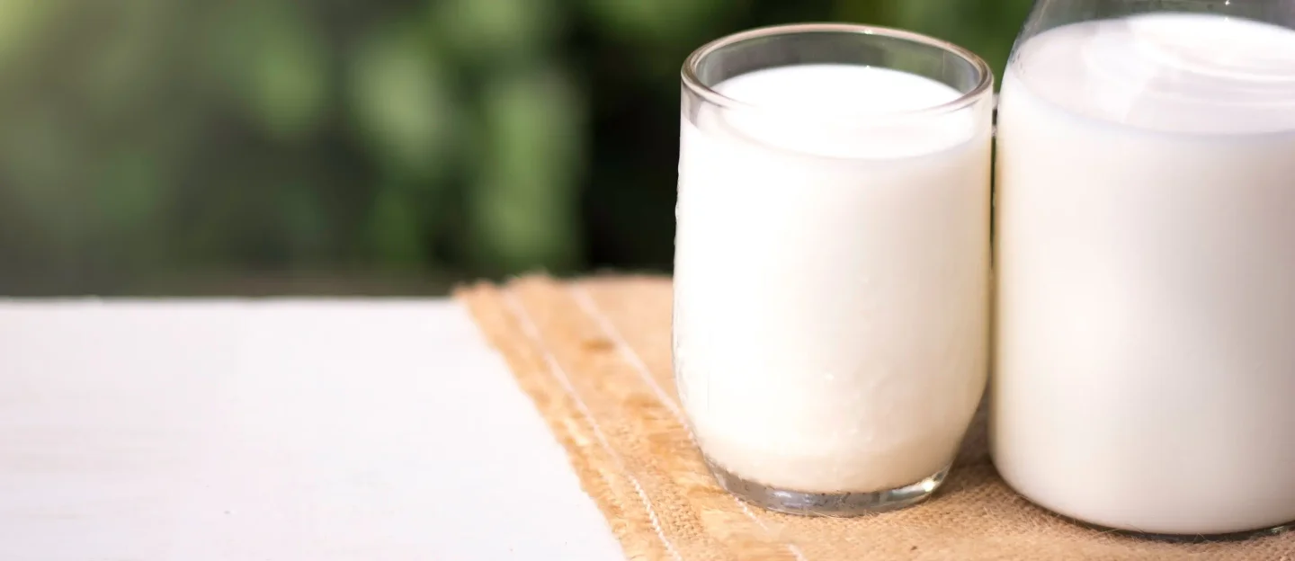 Milk
