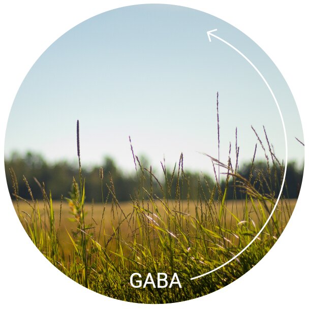 GABA icon