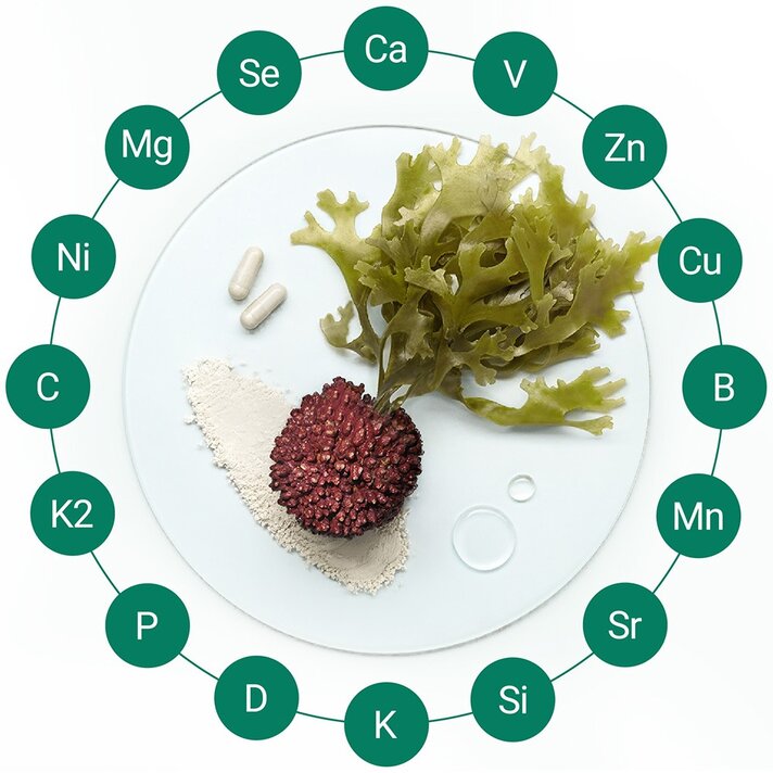A top-down view shows red algae, two capsules, and two drops of liquid arranged on a white plate.  Surrounding the plate is a circle of green bubbles, each containing a two-letter abbreviation for minerals or vitamins.