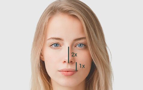 a young woman with a vertical black line showing the distance from the nose to the upper lip labeled "1x," and a longer line from the base of the nose to the bridge labeled "2x", indicating ideal facial proportions