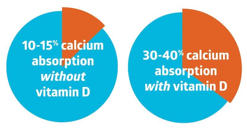 Calcium Absorption Pie Chart