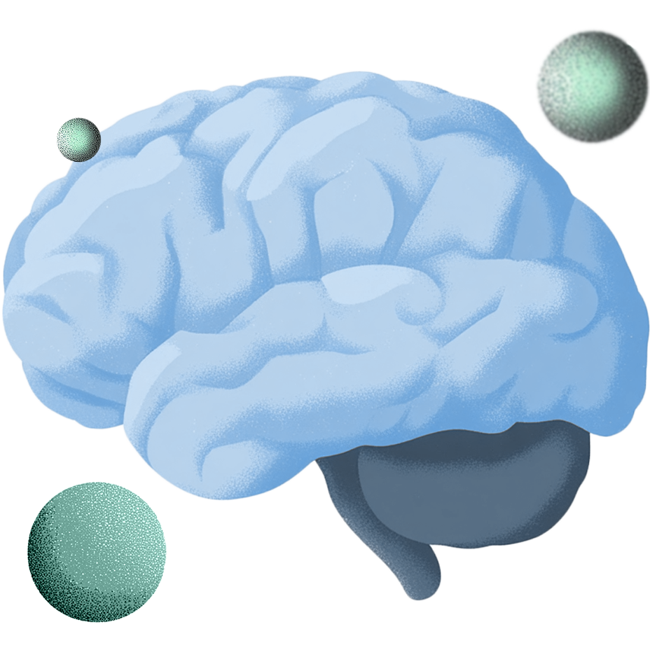 Brain icon