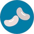 Cannellini Beans Icon