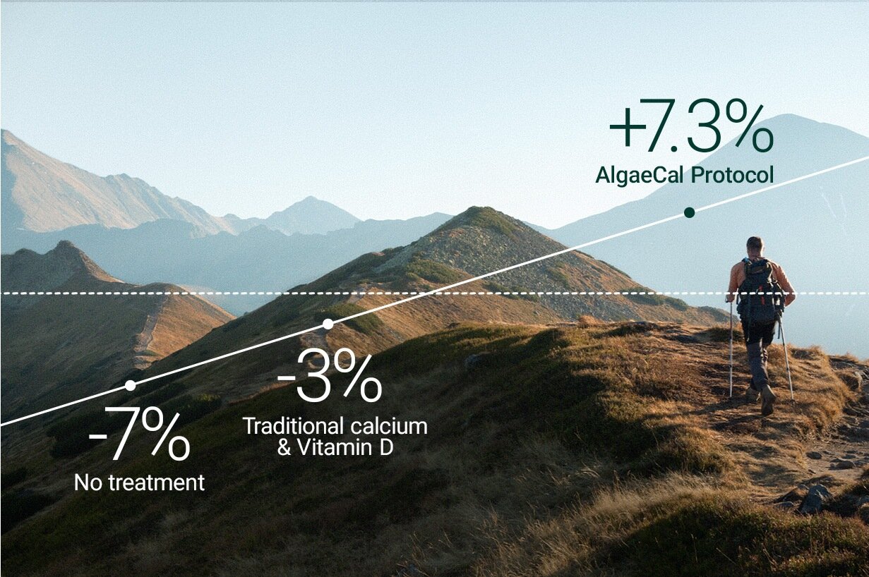 A mountain range with a hiker hiking along a ridge. Overlayed on top is a line graph indicating bone density over time. It shows a decline of -7% with no treatment, -3% with taking traditional calcium and vitamin D and a 7.3% improvement with the AlgaeCal Protocol. 