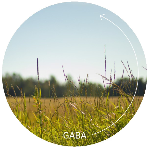 GABA icon