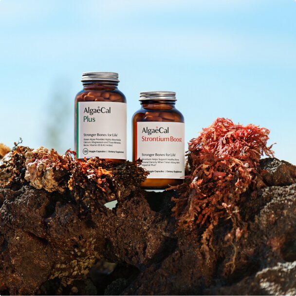 Two bottles of AlgaeCal Plus and AlgaeCal Strontium Boost are sitting on a bed of dark rocks and red algae. The ocean and sky are visible in the background.