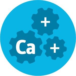 Calcium plus other nutrients icon