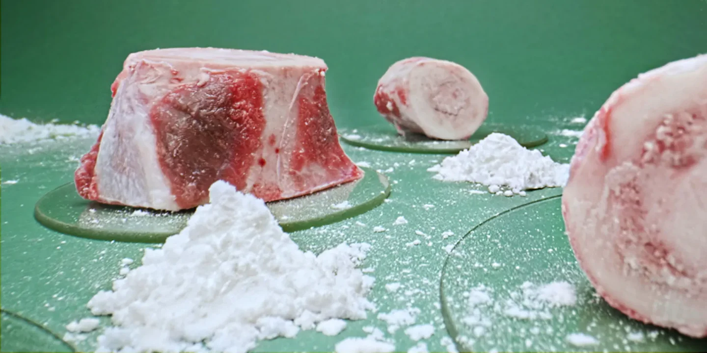 blocks of meat and piles of calcium with a green background
