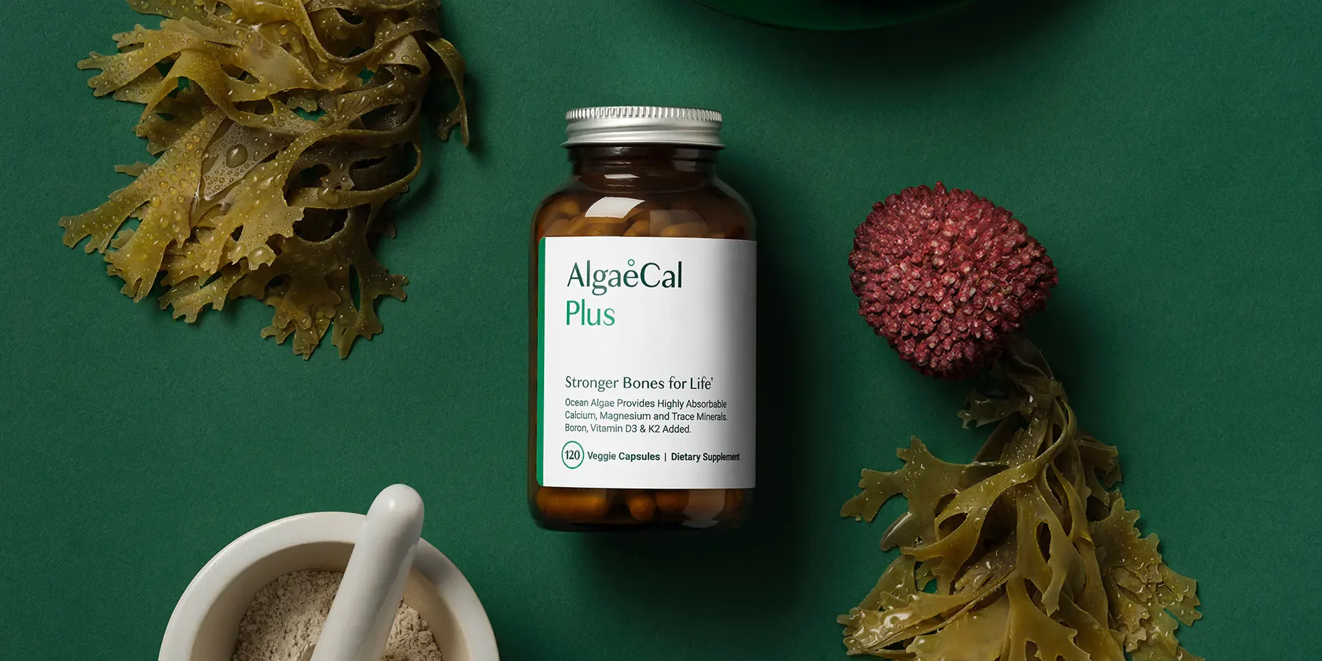 AlgaeCal Plus Bottle