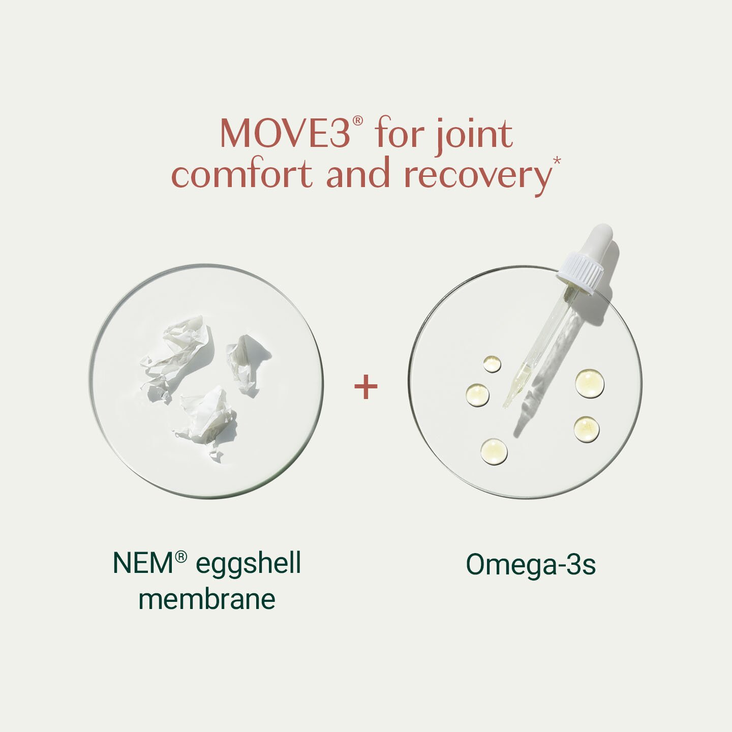 Move3® for joint comfort and recovery: NEM® eggshell membrane plus Omega-3s