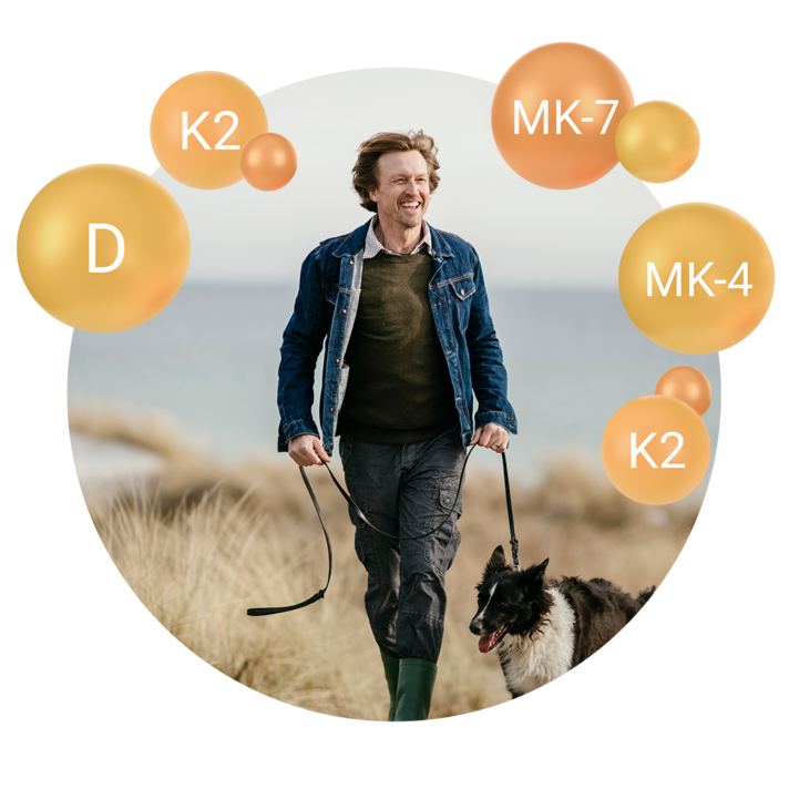  A smiling man in a denim jacket walks his dog on a leash along a beach path with tall grass. Four large, transparent orange bubbles with text labels of "D," "K2," "MK-7," and "MK-4" float around him.