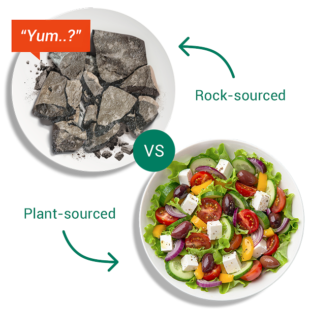 Two plates of food, with a large "VS" in the center. The top plate, labeled "Rock-sourced," holds dark, cracked rocks with a speech bubble that says, "Yum..?". The bottom plate, labeled "Plant-sourced," holds a fresh, colorful salad with lettuce, tomatoes, cucumber, olives, and feta cheese.