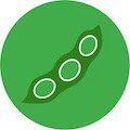 edamame beans icon