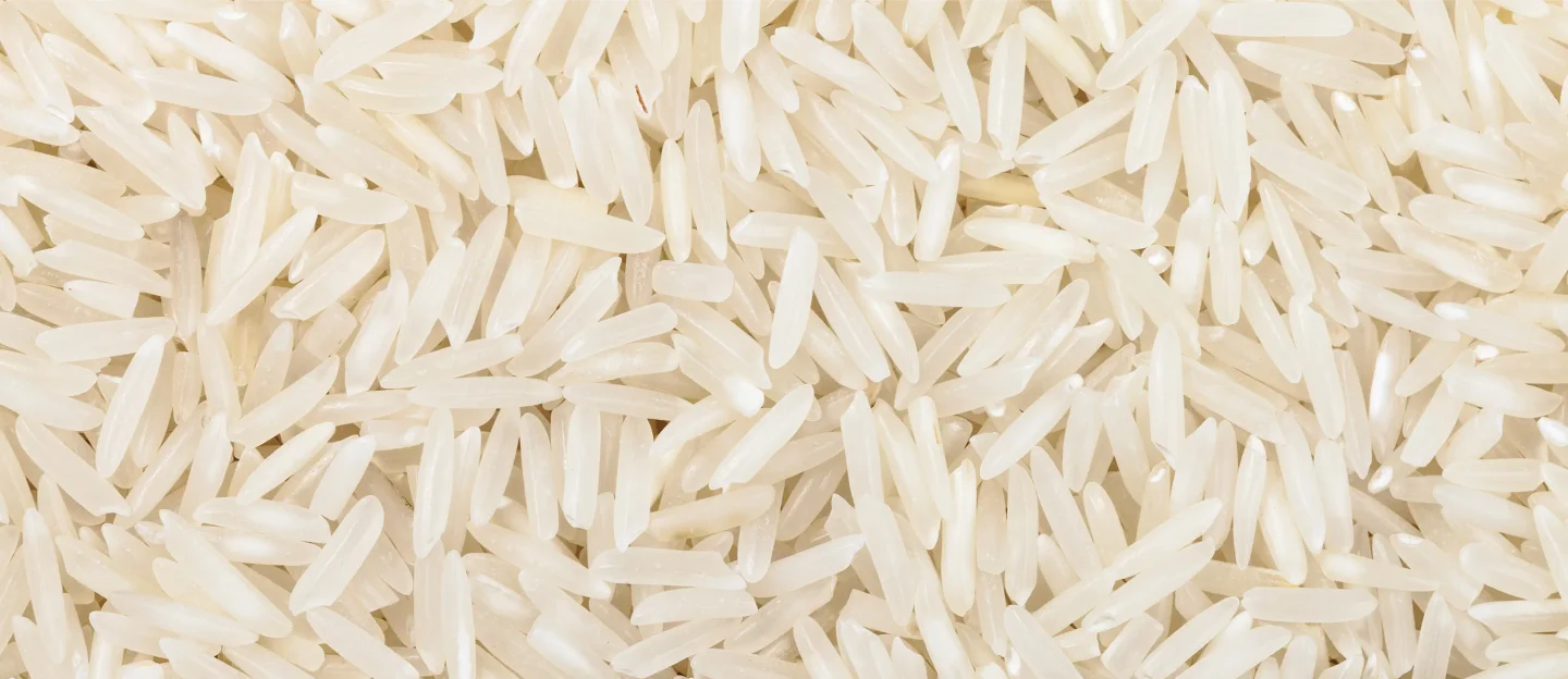 Rice
