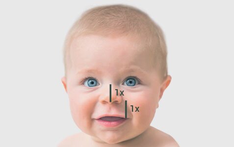 a smiling baby with  two black lines drawn vertically from the tip of the nose to the upper lip, with "1x" written next to each line, indicating proportional measurements of the face.
