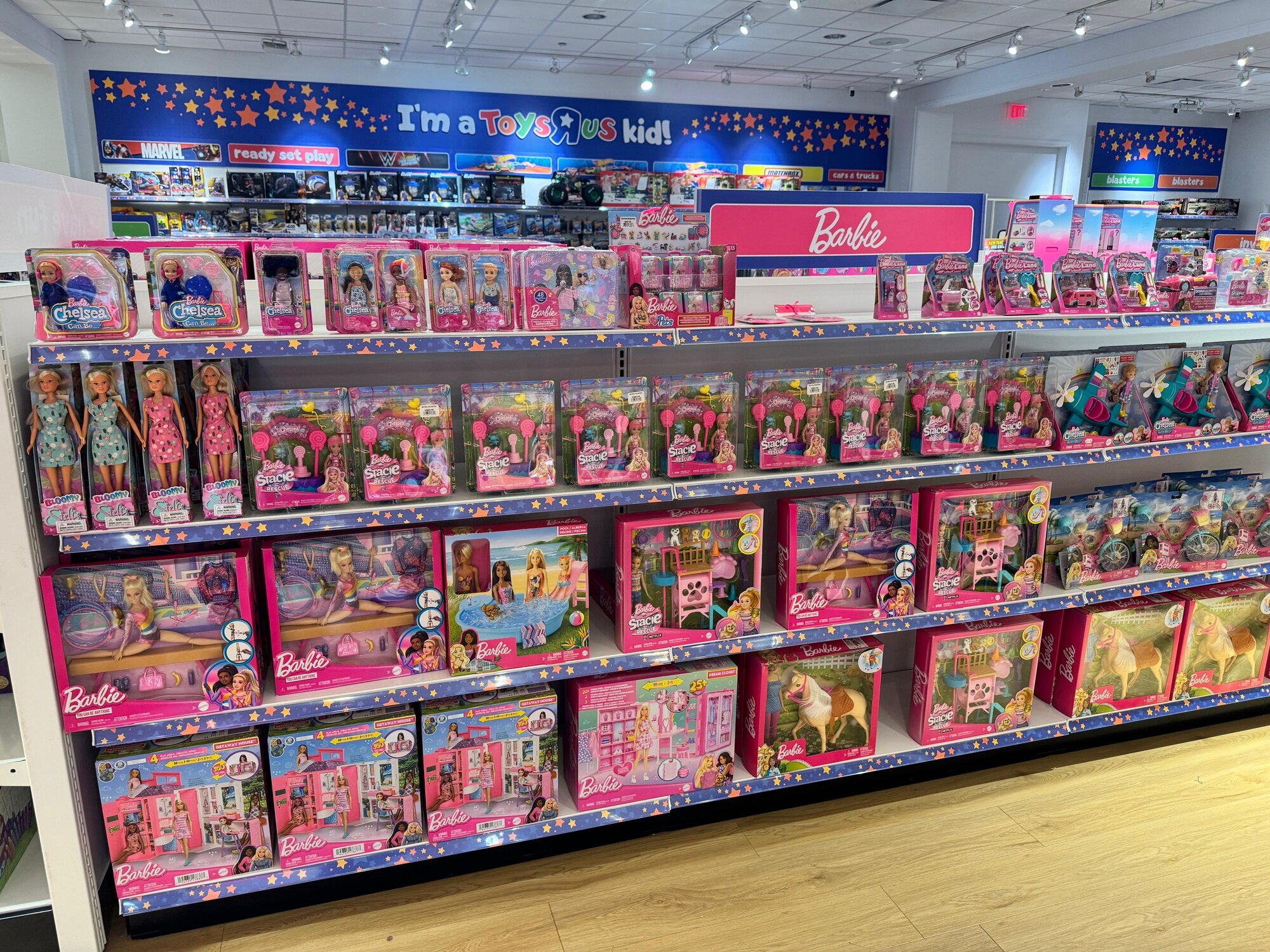 Toys“R”Us Harlem Irving Plaza store entrance