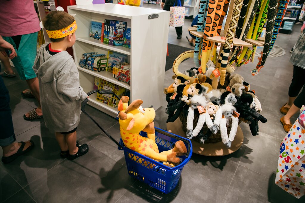 Toys R Us Deer Park Grand Opening