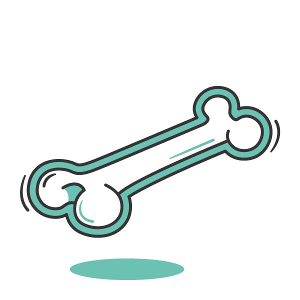 Illustration d’un os solide.