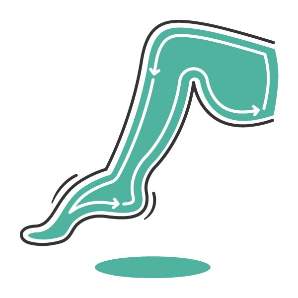 Illustration : Système lymphatique