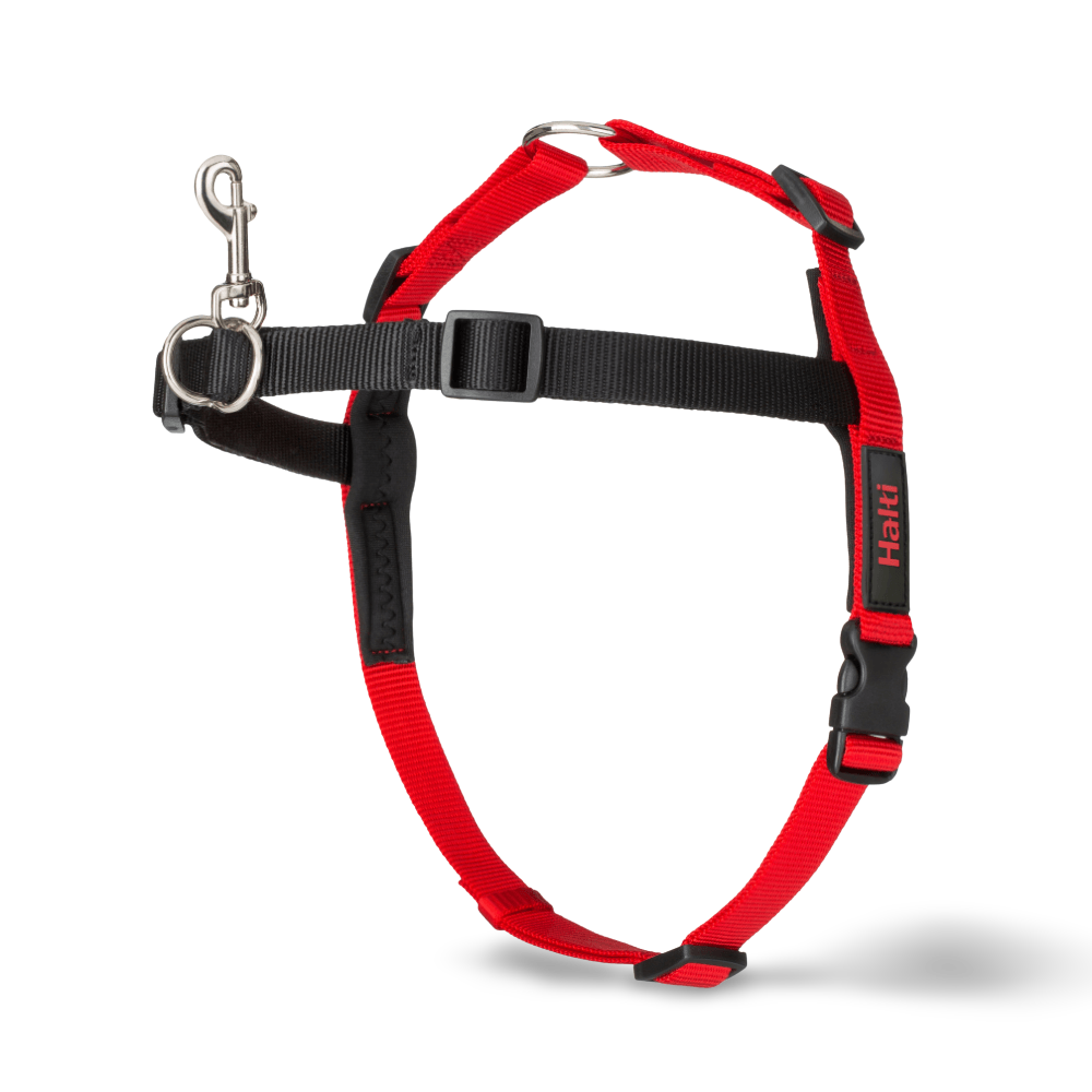 front attaching harness